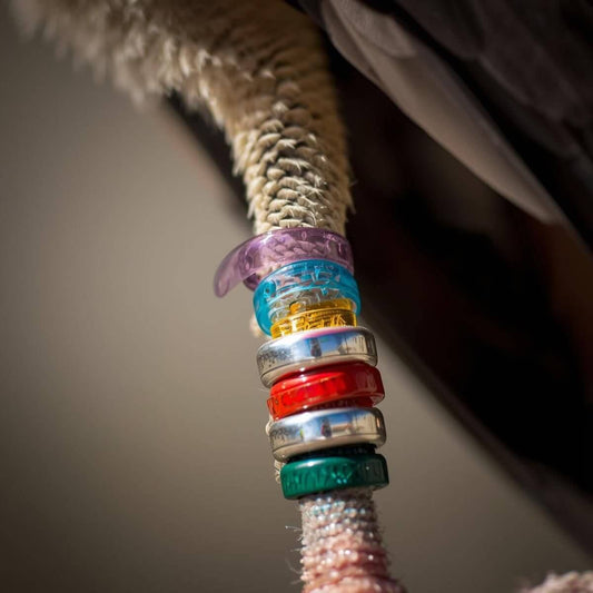 Colorful bird leg bands on a bird's leg, showcasing various identification rings for bird owners.