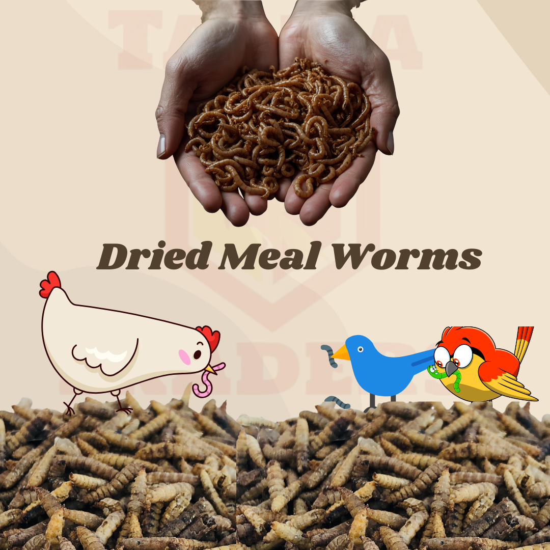 Dried meal worms held in hands with cartoon animals and text on a beige background