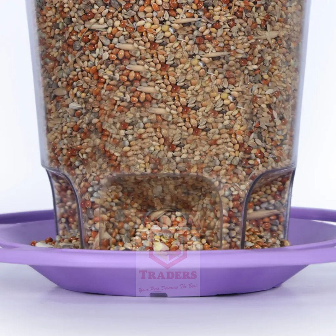 Bird seed in a transparent container with a purple base on a white background
