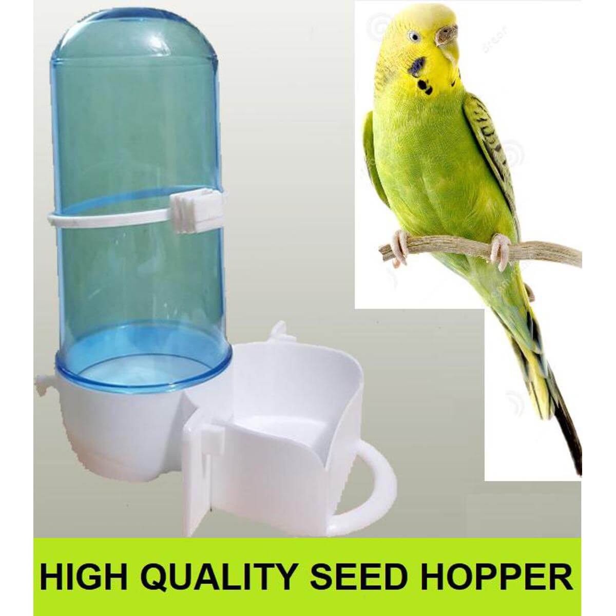 Green budgerigar perched near a blue-topped plastic bird seed hopper with white base and feeding tray