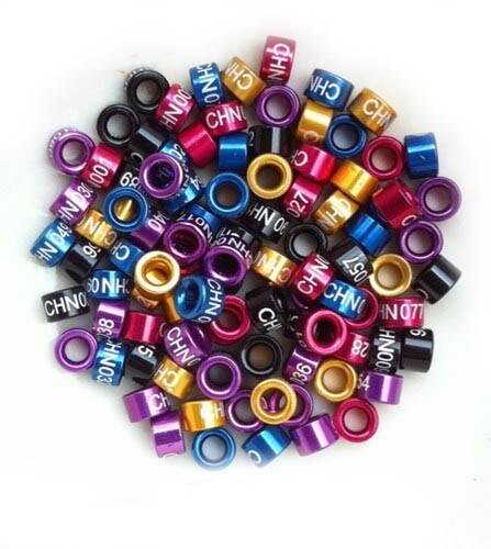 Colorful bird leg bands for identification – lightweight & durable - top view