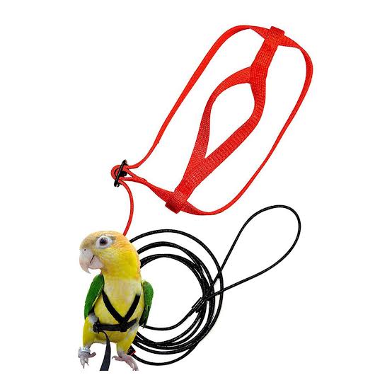 Adjustable nylon bird harness with leash – escape-proof design for parrots