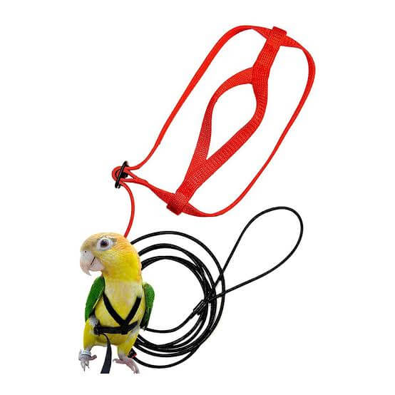 Adjustable nylon bird harness with leash – escape-proof design for parrots