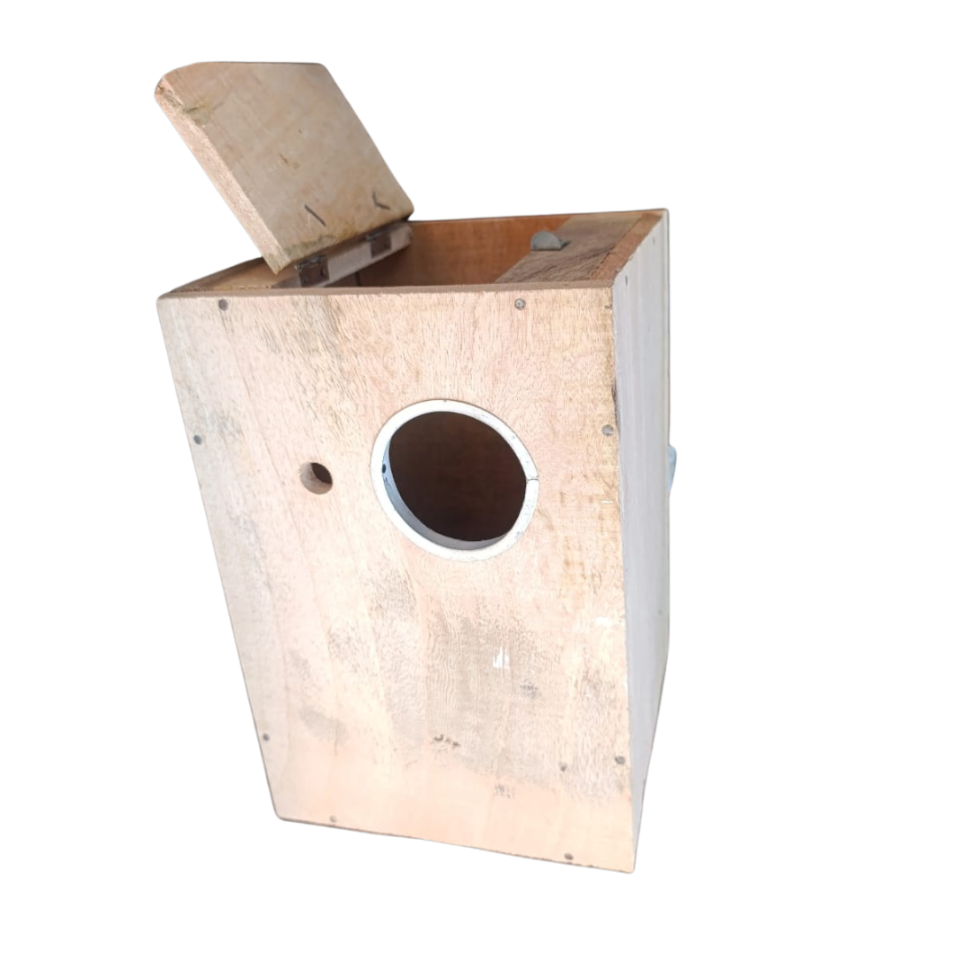 toota-parrot-nesting-box-online-Pakistan