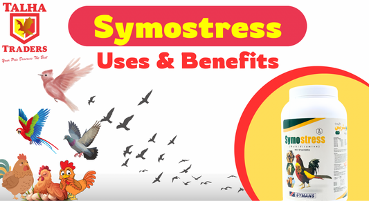 Discover the Benefits of Symostress Multivitamins for Birds