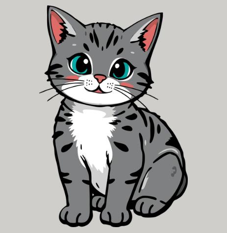 Shop Cat Products online – premium food, collars, toys & grooming supplies. Everything your cat needs in one place