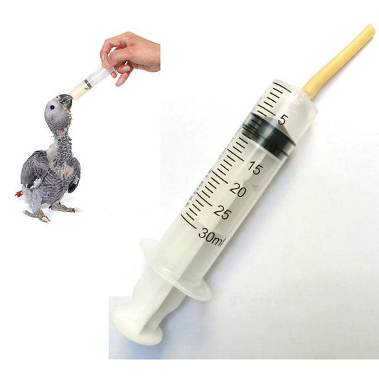 Large syringe with a silicon pipe being used to feed a parrot, on a white background