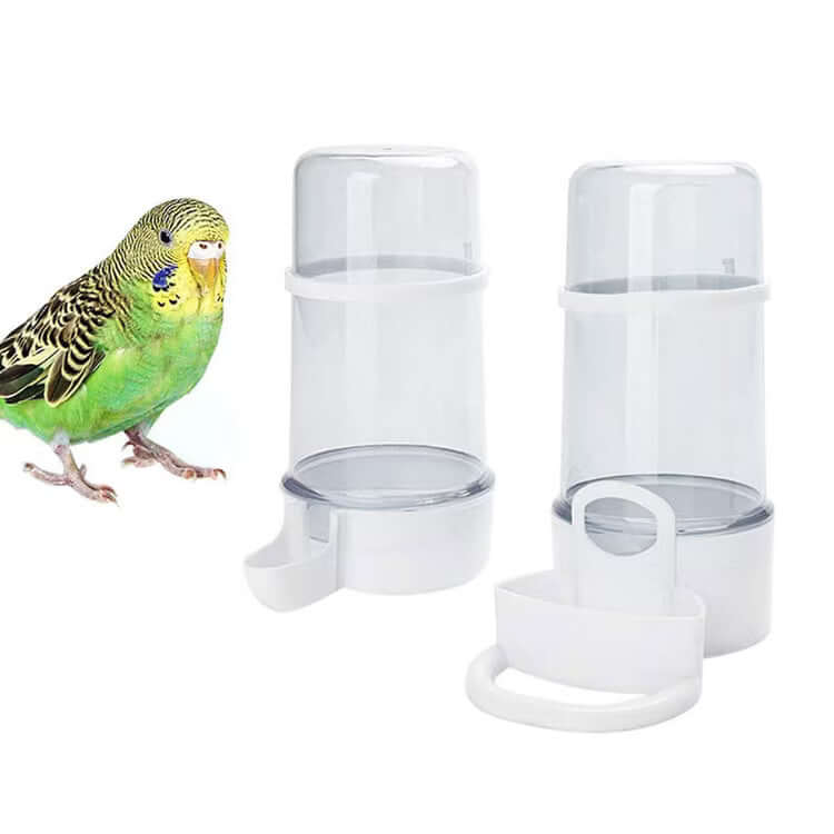 Two clear plastic bird feeders with a green parakeet on a white background