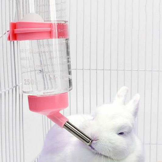 small-pet-water-feeder-bottle-Punjab-Pakistan
