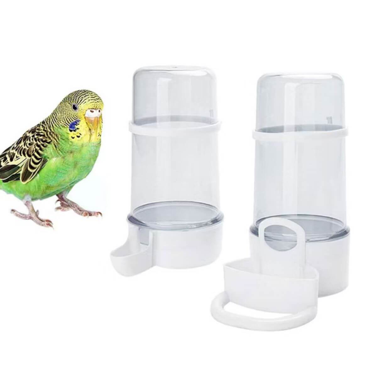 Green parakeet next to a white bird feeder on a white background