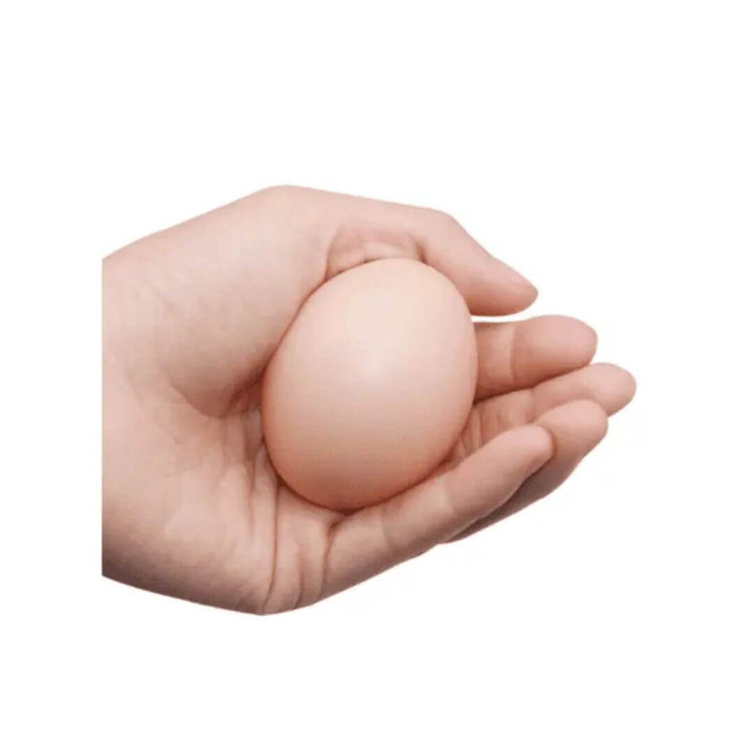 Hand holding a brown egg on a white background
