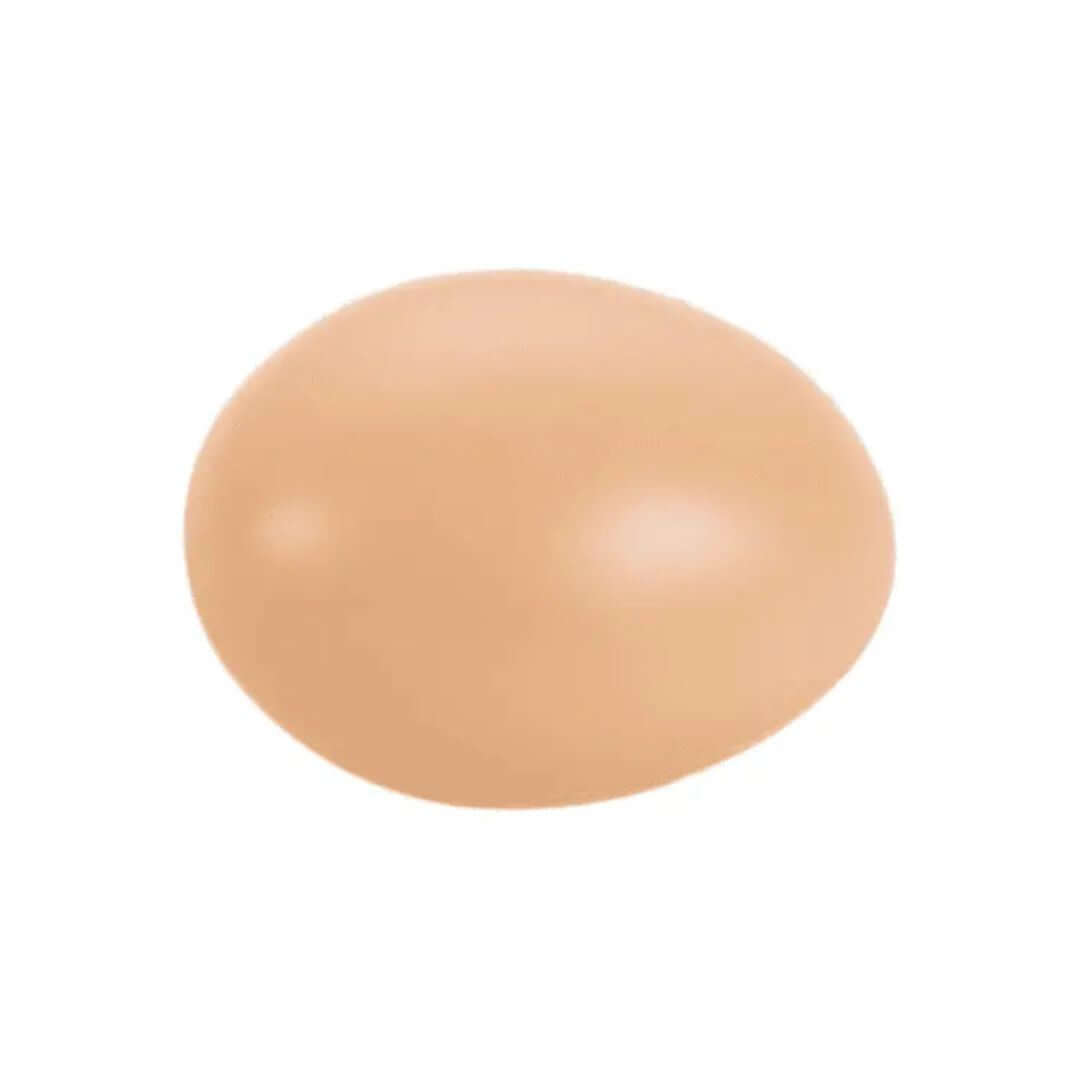 brown hen egg on a white background