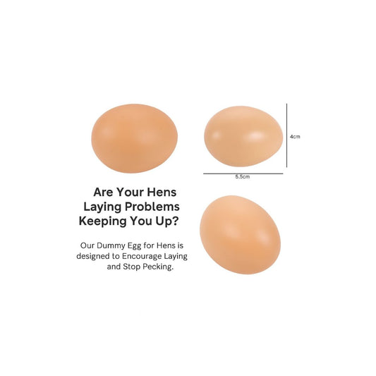 Three brown eggs with measurements and text on a white background