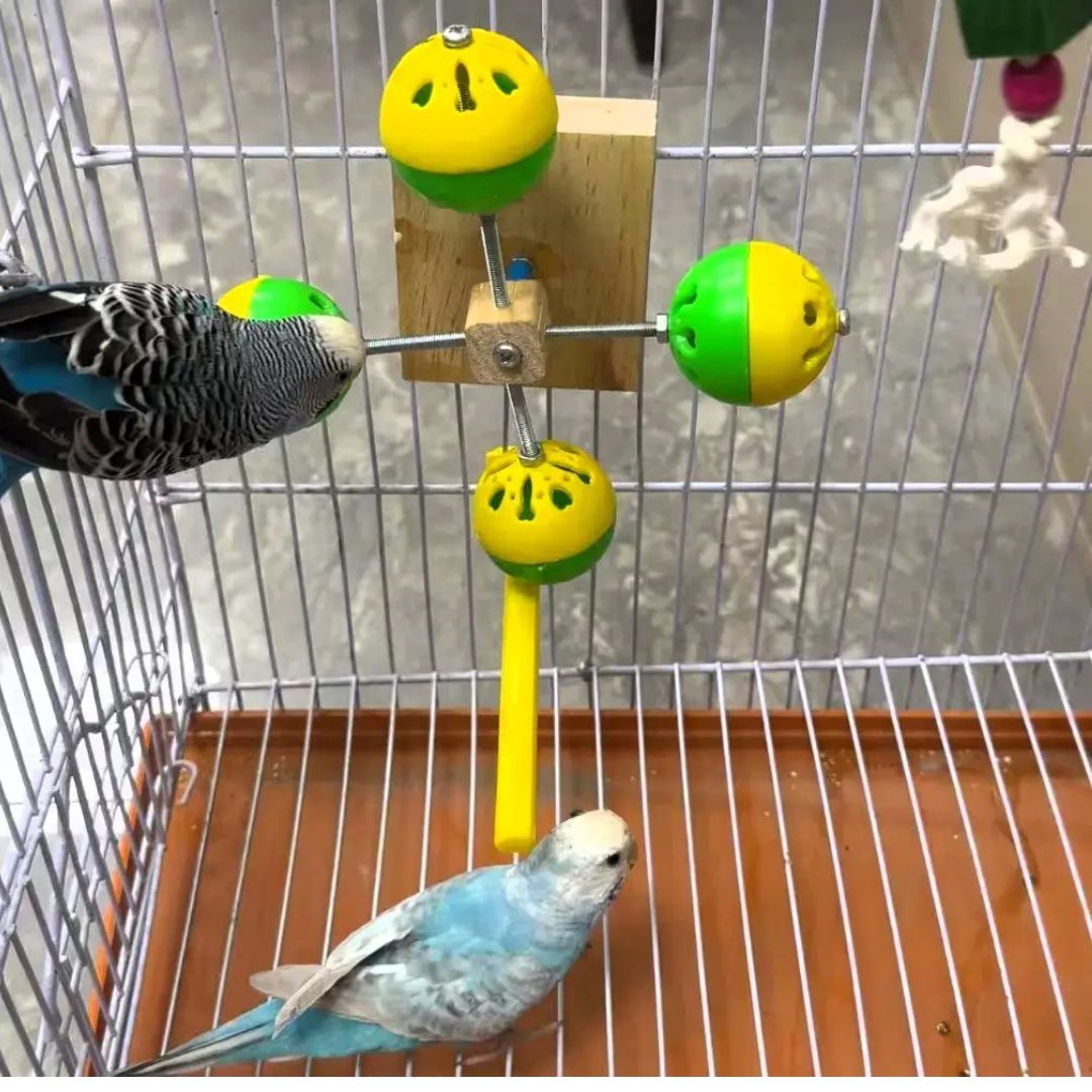 Two birds in a cage with colorful bird toys.