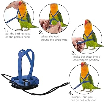 Adjustable nylon bird harness with leash – escape-proof design for parrots
