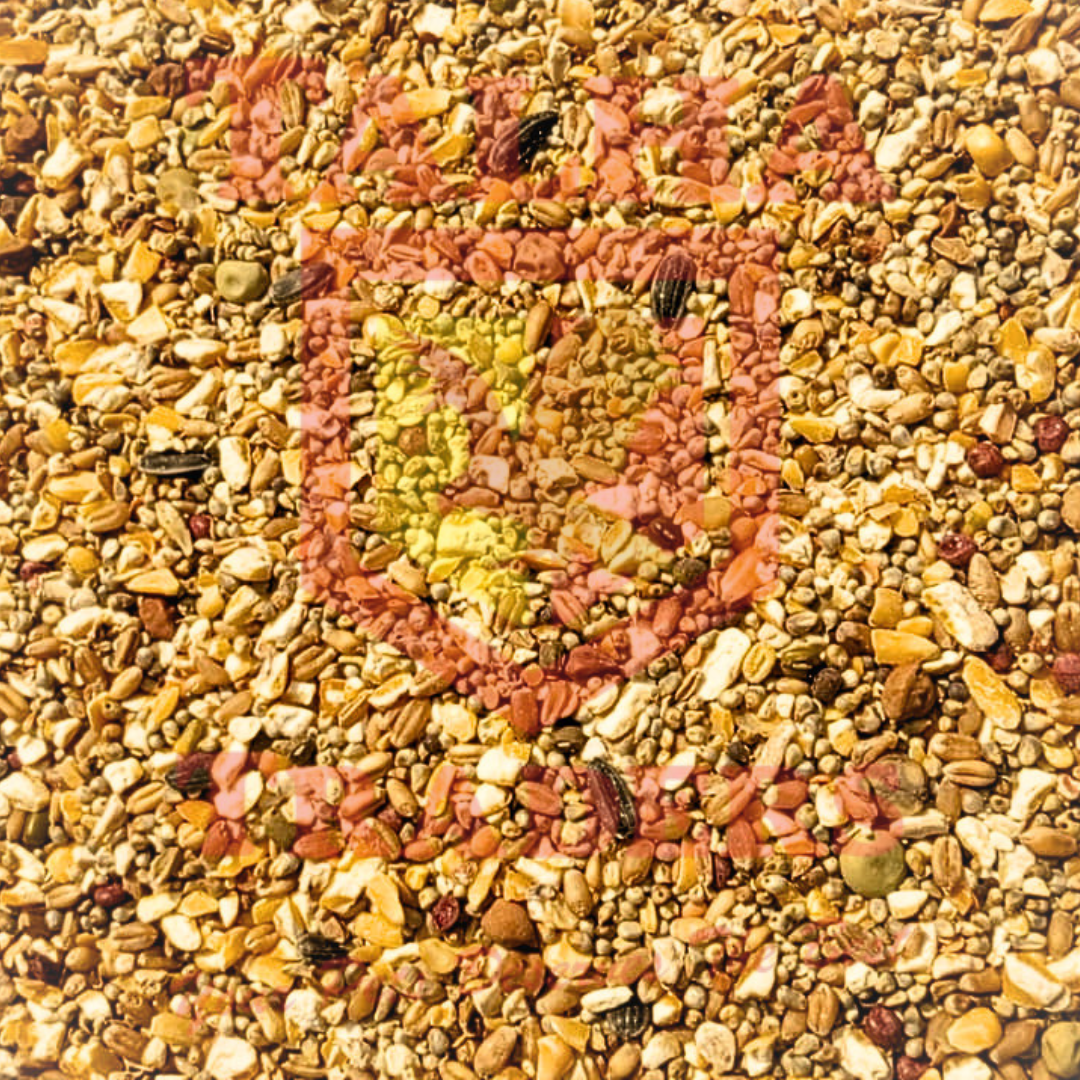 poultry-feed